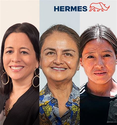 hermes experiencias entregos